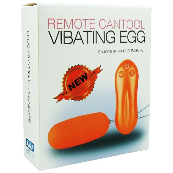 Vibrador Bullet Controle Remoto Vibating Egg